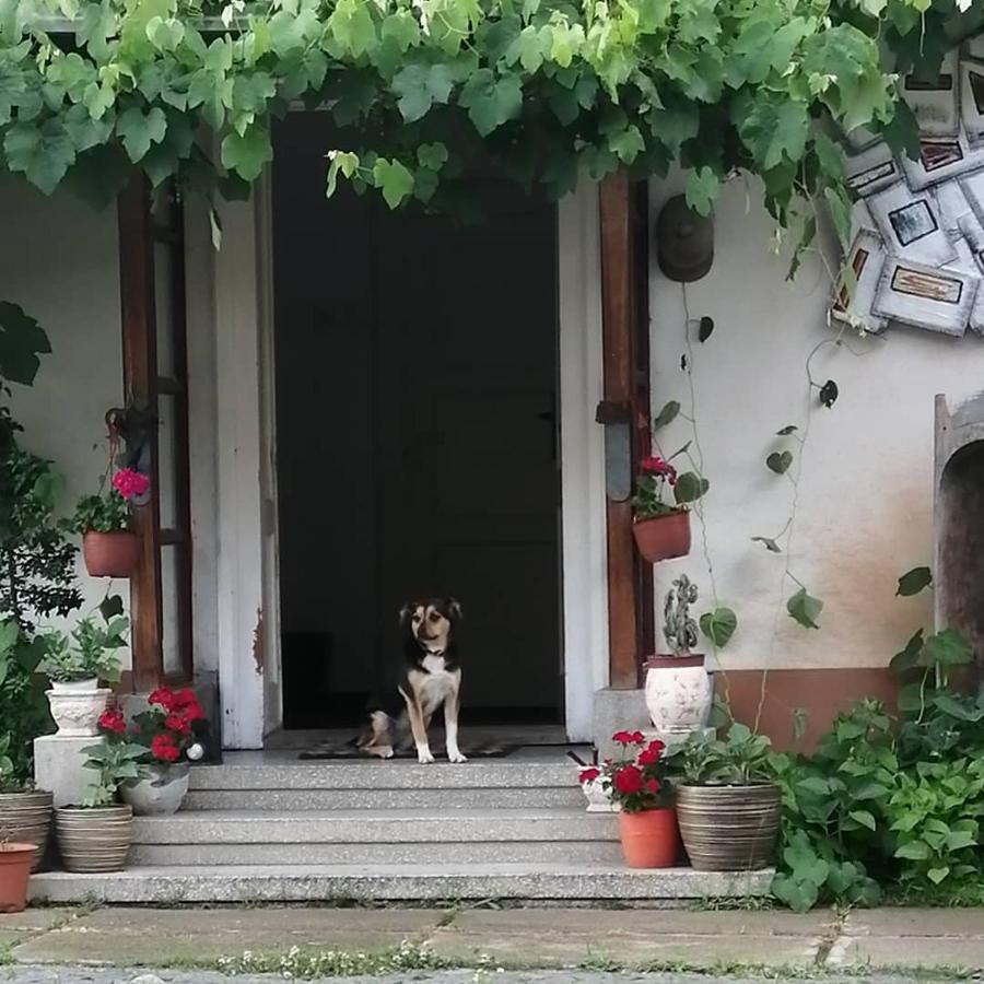 Casa Sashi Hotel Sibiu Exterior photo