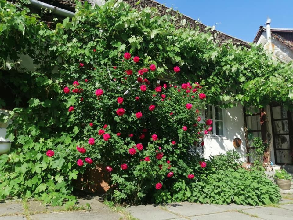 Casa Sashi Hotel Sibiu Exterior photo