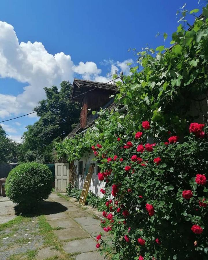 Casa Sashi Hotel Sibiu Exterior photo