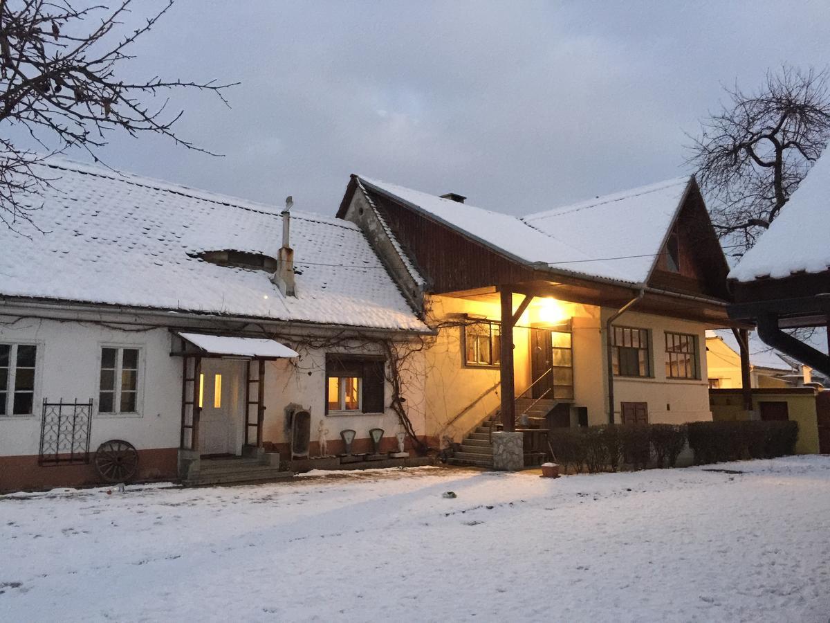 Casa Sashi Hotel Sibiu Exterior photo